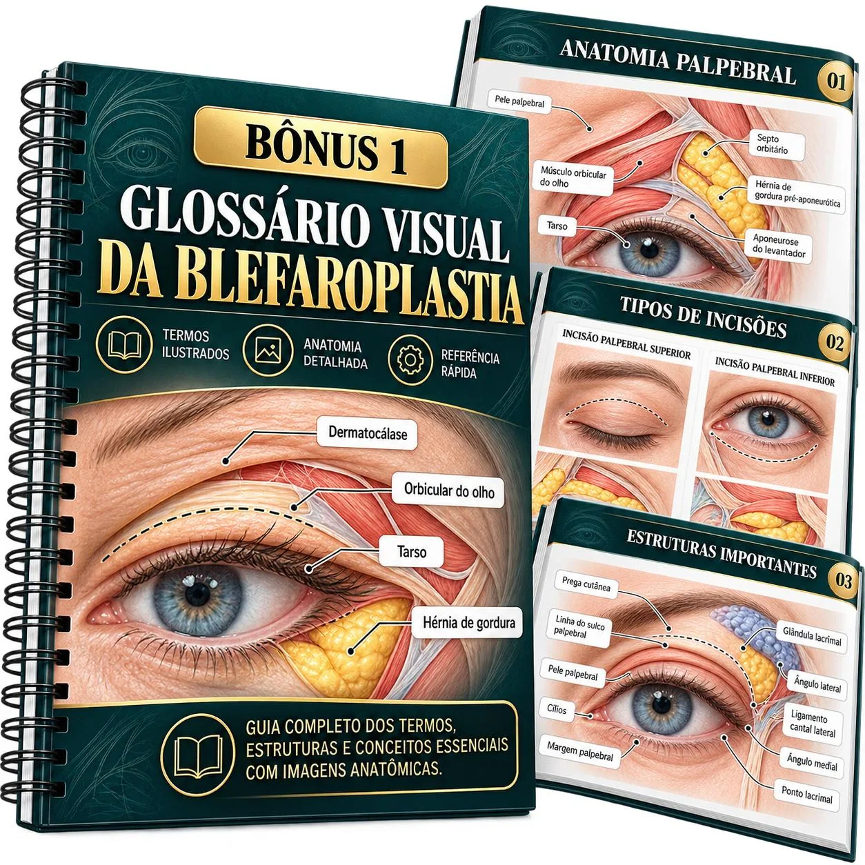 Bônus 1 — Glossário Visual da Blefaroplastia