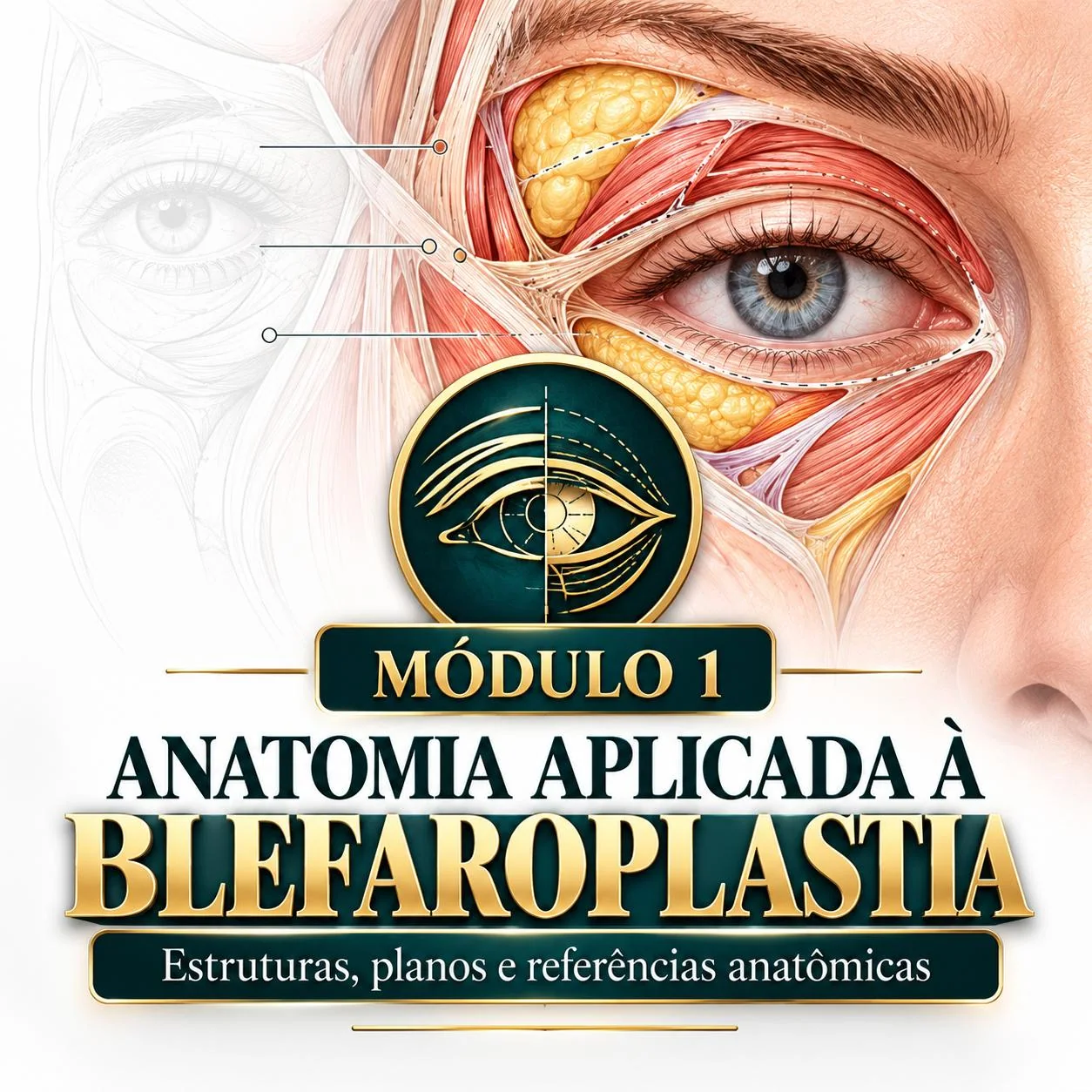 Capa do módulo 01: Anatomia Aplicada à Blefaroplastia