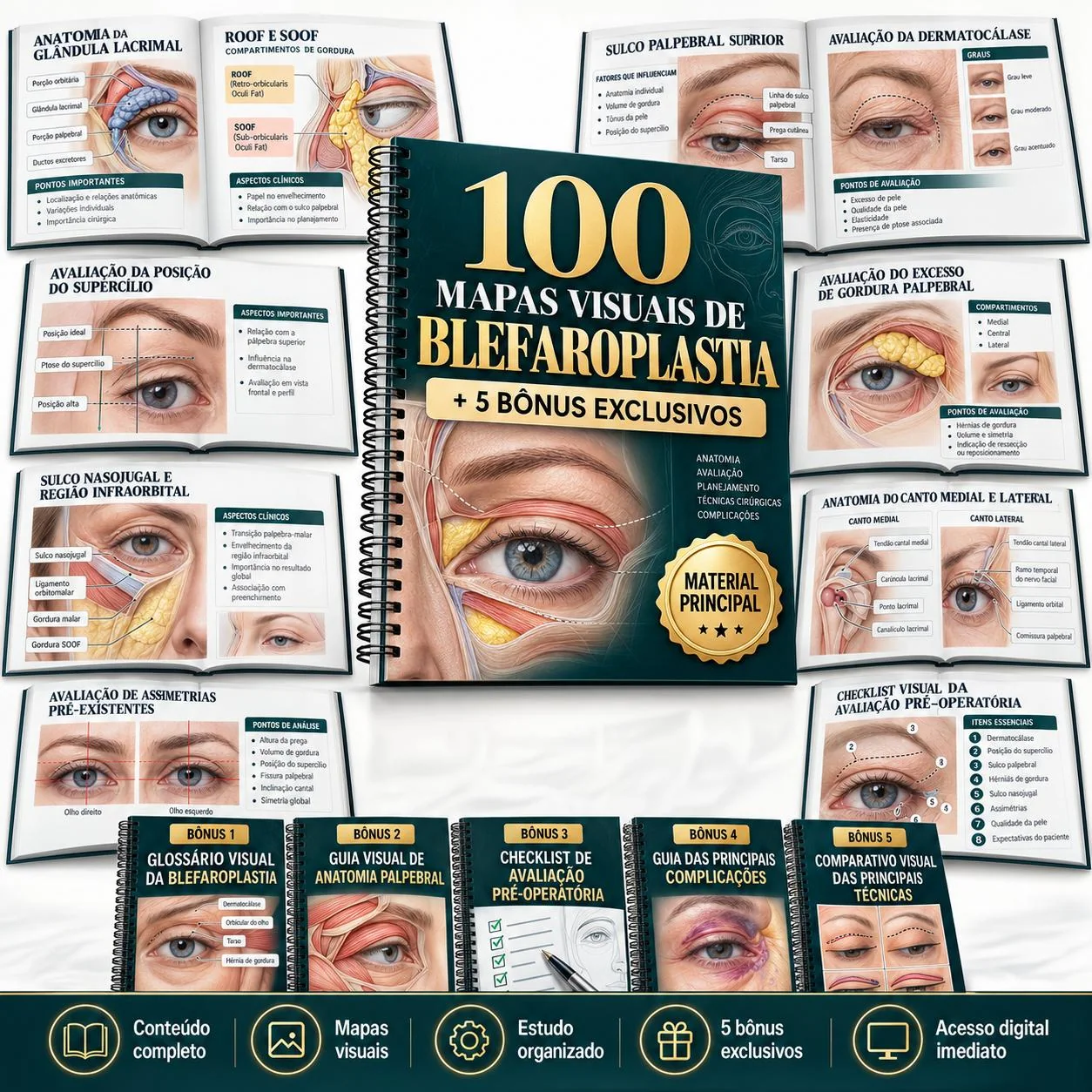 100 Mapas Visuais de Blefaroplastia